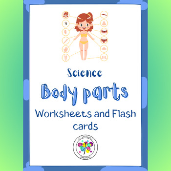 Preview of Science Body Parts Worksheets Flash Cards Human NO PREP Color