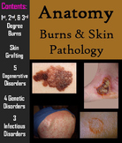 Burns and Skin Pathology PowerPoint