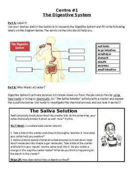 Preview of Human Body Systems Centres