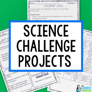 Preview of Science Challenges | End of the Year Science Activity or Project