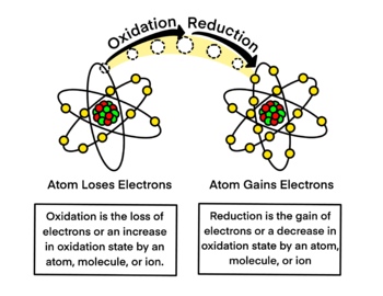 Preview of Science Chemistry - Oxidation Reduction