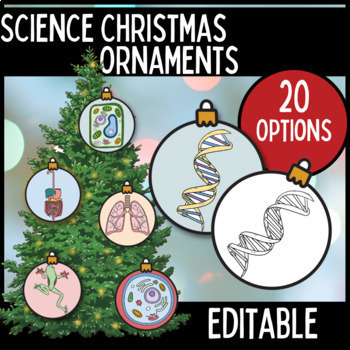 Preview of Science Christmas Tree Ornaments | Editable | Winter Holiday Activity