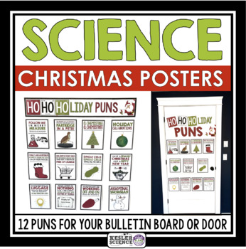 Preview of Science Christmas/Winter Season Posters - Classroom Decor