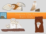 Science Clip Art: Barn Owls