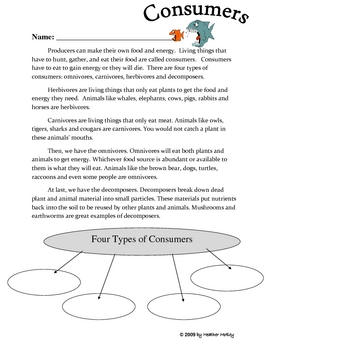 Science: Consumers, Producers & Food Chain Worksheet ...