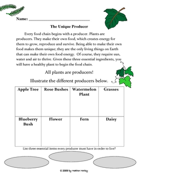 Science: Consumers, Producers & Food Chain Worksheet Bundle | TpT