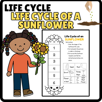 Foldable Water Lily Life Cycle Learning Activity for Kids Plant