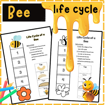 Preview of Science Crafts: life Cycle of a Bee Cut and Paste-Activity Foldable