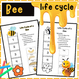 Science Crafts: life Cycle of a Bee Cut and Paste-Activity