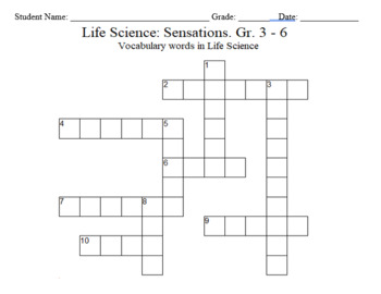 Preview of Science Crossword Puzzle: 3 to 6 Grades - Life Science - Sensations