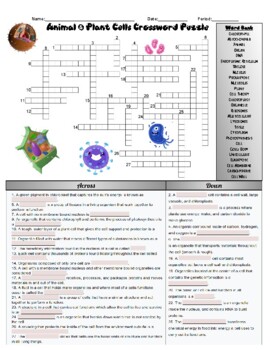 Science Crossword Puzzle Bundle by Bearcat Science | TpT