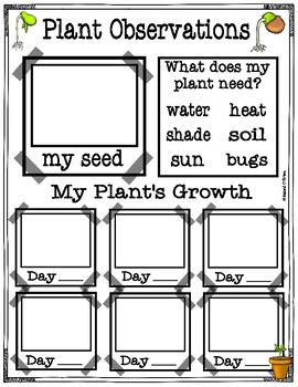 Science Data and Observations Notebook by Read Like a Rockstar | TPT