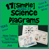 Science Diagrams for Test Prep, Notes, and Supplemental Ai