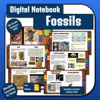 Science Digital Interactive Notebook: Fossils TEKS by Blended Learning ...