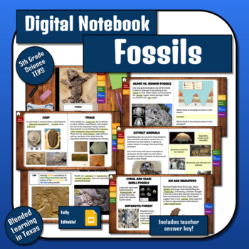Science Digital Notebook: Fossils Bundle Spanish & English TEKS | TPT