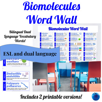 Preview of Science Dual Language ESL Word Wall || Biomolecules || Two Versions!