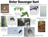 Science Ecology Outdoor Winter Scavenger Hunt- perfect for