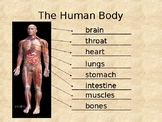 Science / English: Inside our Body PowerPoint
