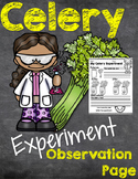 Celery Science Experiment