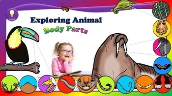 Preview of Science: Exploring Animal Body Parts BUNDLE