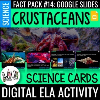 Preview of Science Fact Pack 14: Crustaceans GOOGLE Task Cards