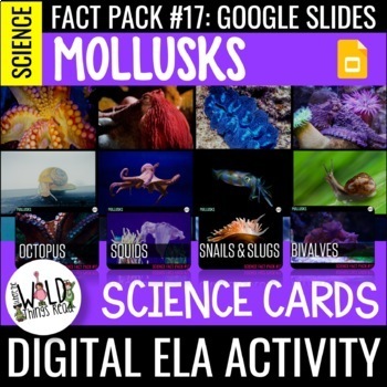 Preview of Science Fact Pack 17: Mollusks GOOGLE Task Cards