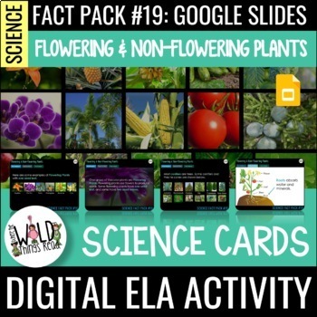 Preview of Science Fact Pack 19: Flowering & Non-Flowering Plants GOOGLE Task Cards
