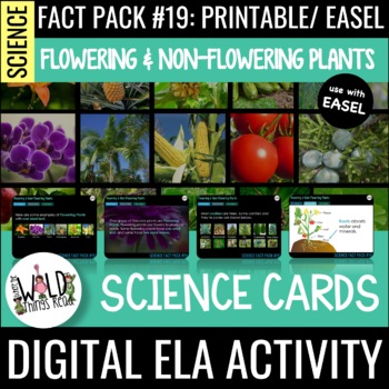 Preview of Science Fact Pack 19: Flowering & Non-Flowering Plants Task Cards & Assessment