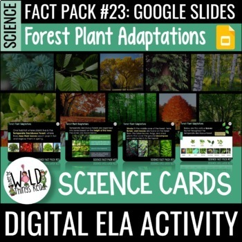 Preview of Science Fact Pack 23: Forest Plants GOOGLE Task Cards