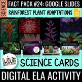 Science Fact Pack 24: Rainforest Plants GOOGLE Task Cards