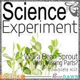 Science Fair Project -Science Experiment Will a Bean Sprou
