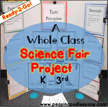 Preview of End of the Year Easy Science Experiments Activity Fair Project Scientific Method