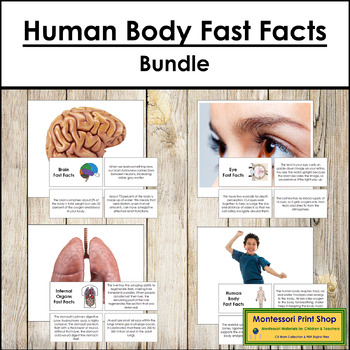 Preview of Human Body Fast Facts Bundle - Montessori Cards & Pictures