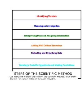 32 Scientific Method Worksheet 7th Grade - support worksheet
