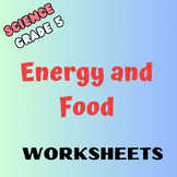 Science: Grade 5: Energy and Food : Worksheets: Bundle