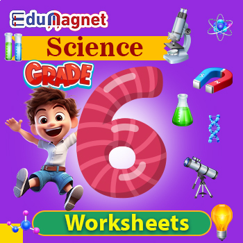Preview of Science: Grade 6: Worksheets: Flashcards: All Topics: Bundle
