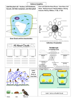 Preview of Science Graphic Worksheet - Moon Phases, Cells, Clouds, Water Cycle, Electricity