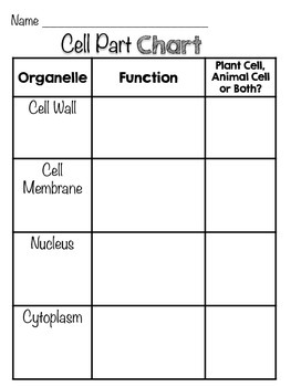 Science Helper: Life Science Graphic Organizers by Kaitlynn Albani