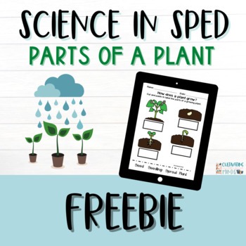 Preview of Adapted Science Units | Home Learning Packet | Life Cycle of a Plant FREEBIE