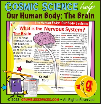Preview of Body Systems: The Nervous System • Our Brain & Spinal Cord • Health Science