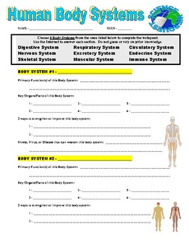 Preview of Human Body Systems Webquest (Science / Health / Puzzle / Internet / No Prep)
