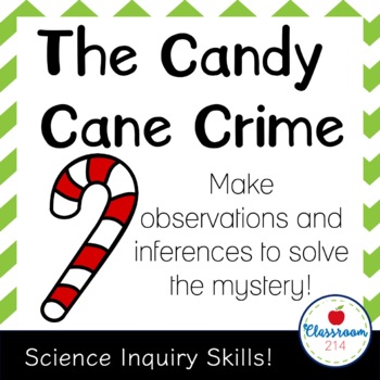 Preview of Science Inquiry Lesson Plan | Observation and Inference Christmas Activity