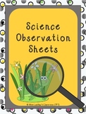 Science Observation Sheet Worksheets & Teaching Resources | TpT