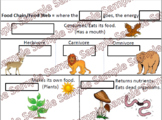 Science Interactive Anchor Chart: Food Chain and Food Web