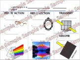 Science Interactive Anchor Chart: Light