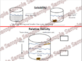 Science Interactive Anchor Chart: Solubility and Density