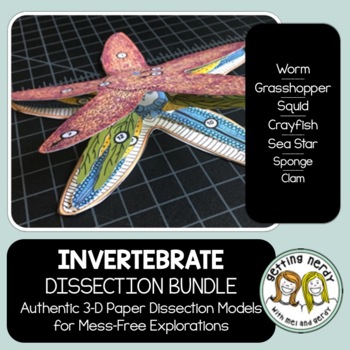 Preview of Dissection - Invertebrate Animals Bundle - Distance Learning