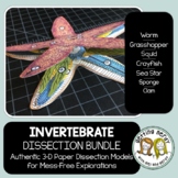 Dissection - Invertebrate Animals Bundle - Distance Learning
