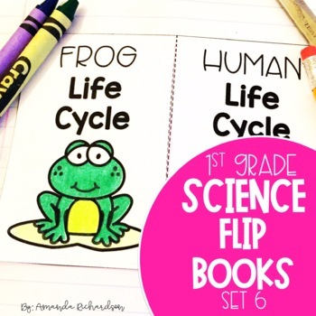 Preview of 1st Grade Science Interactive Notebook: Life Cycles, Animal Characteristics