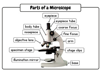 Science Lab - Label the Parts of Microscope: Posters & Worksheets